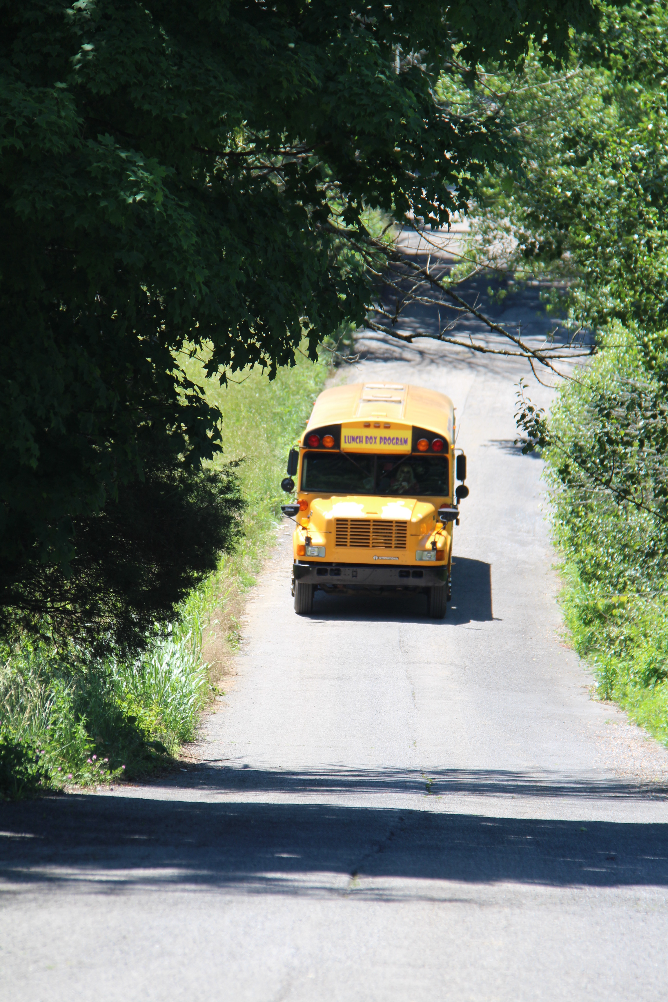 Lunch Box Bus