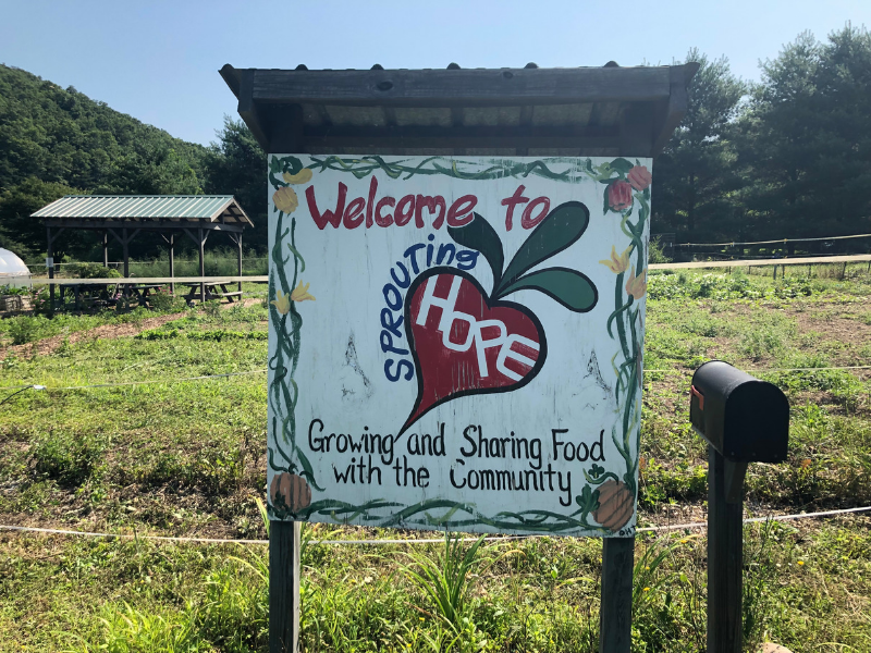 Sprouting Hope in Marion Virginia