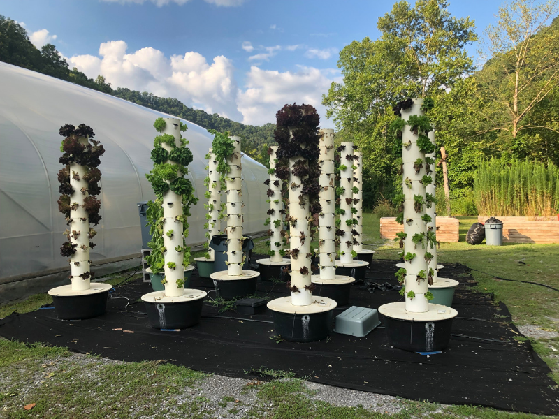 Garden in McDowell County West Virginia