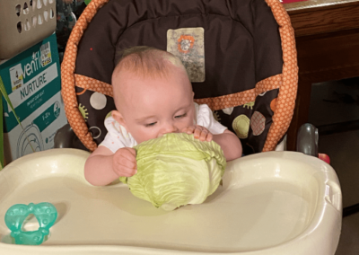 An infant in Beattyville, KY explores a fresh cabbage grown in the Puckett Family Community Garden.