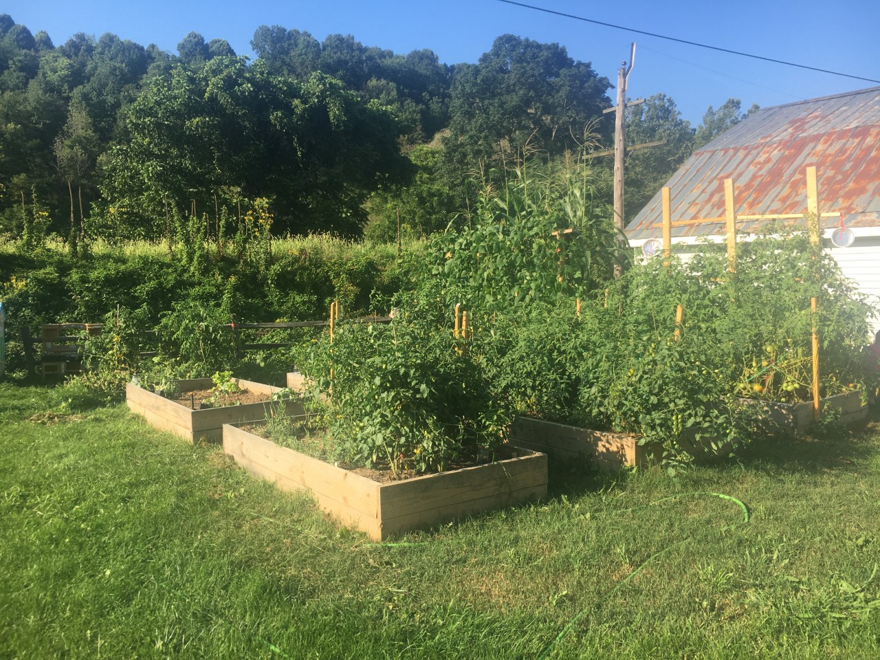 Growing Gardens in Appalachia this Spring!