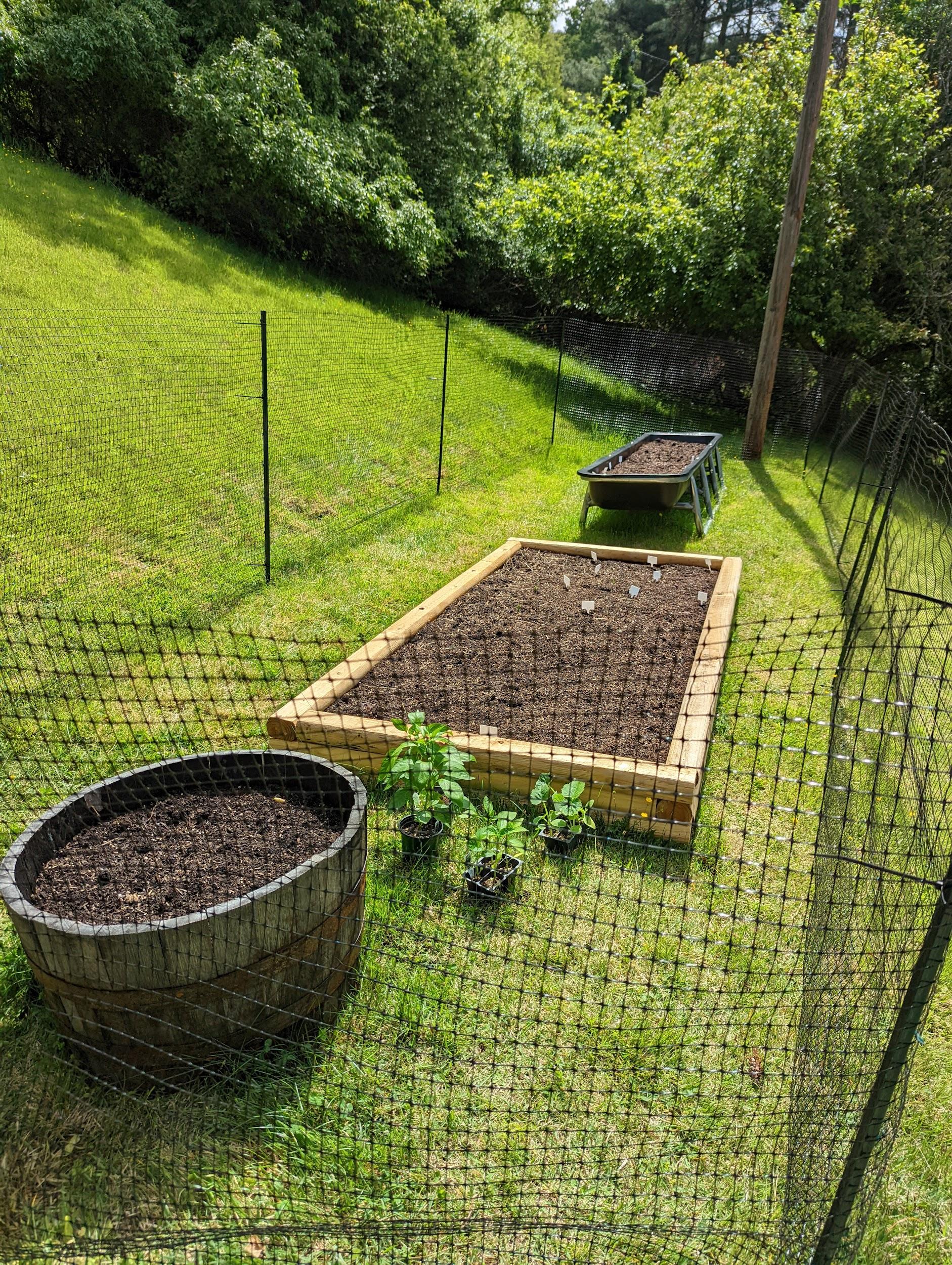 Fenced backyard garden with raised beds and containers ready for planting fresh vegetables.