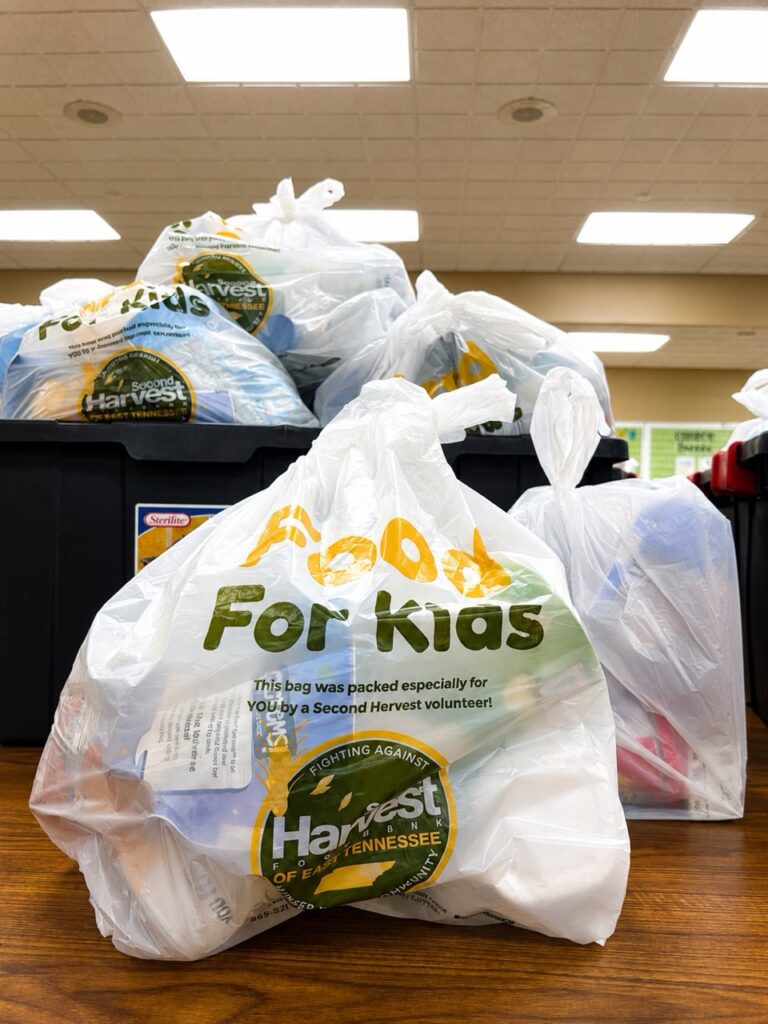     Food bags prepared for children through the AMOS Lunch Box program in Appalachian Tennessee with support from Americans Helping Americans